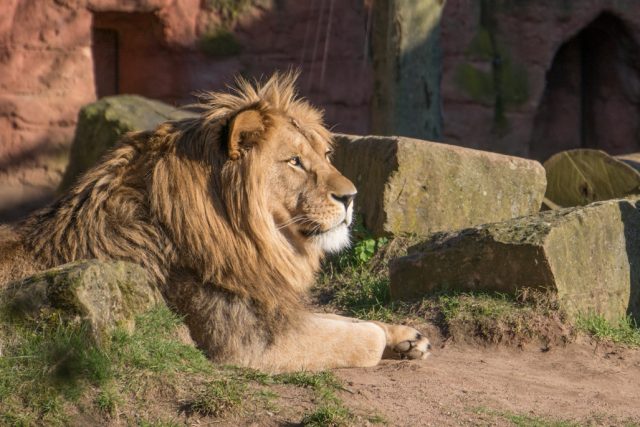 Sonnenstrahlen im Zoo Hannover